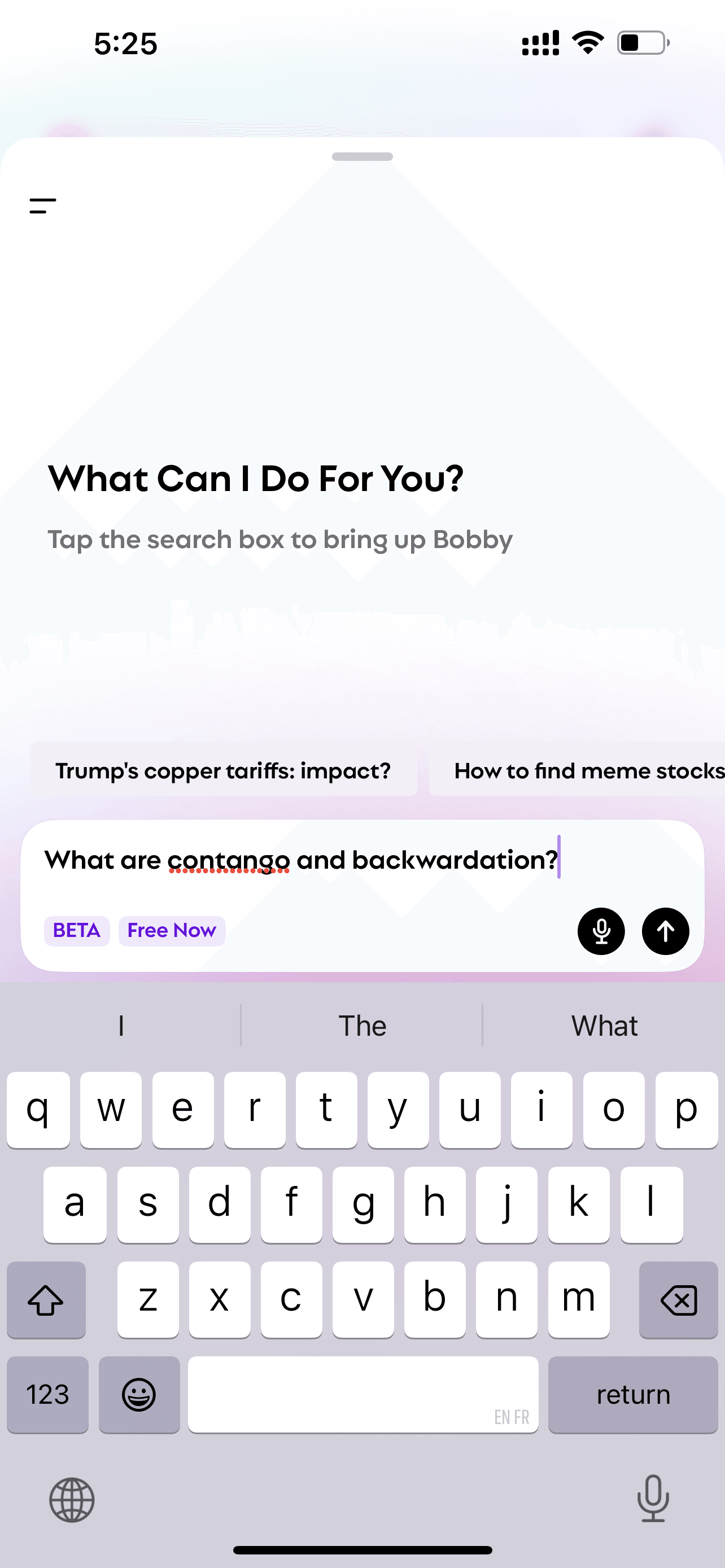 The screen of Bobby when asked "what are contango and backwardation"