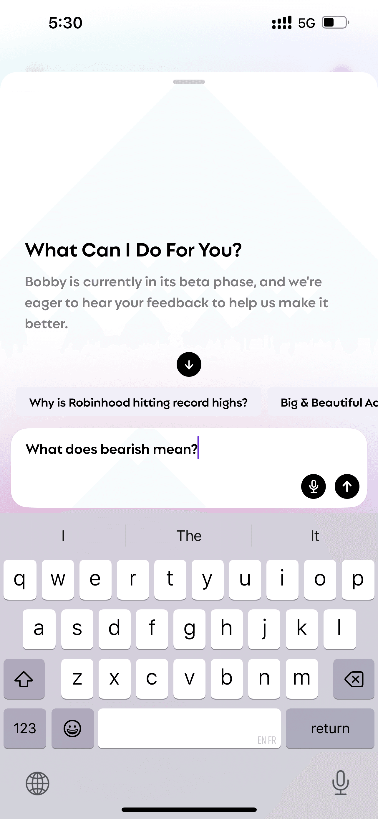 The screen of Bobby when asked "what does bearish mean"