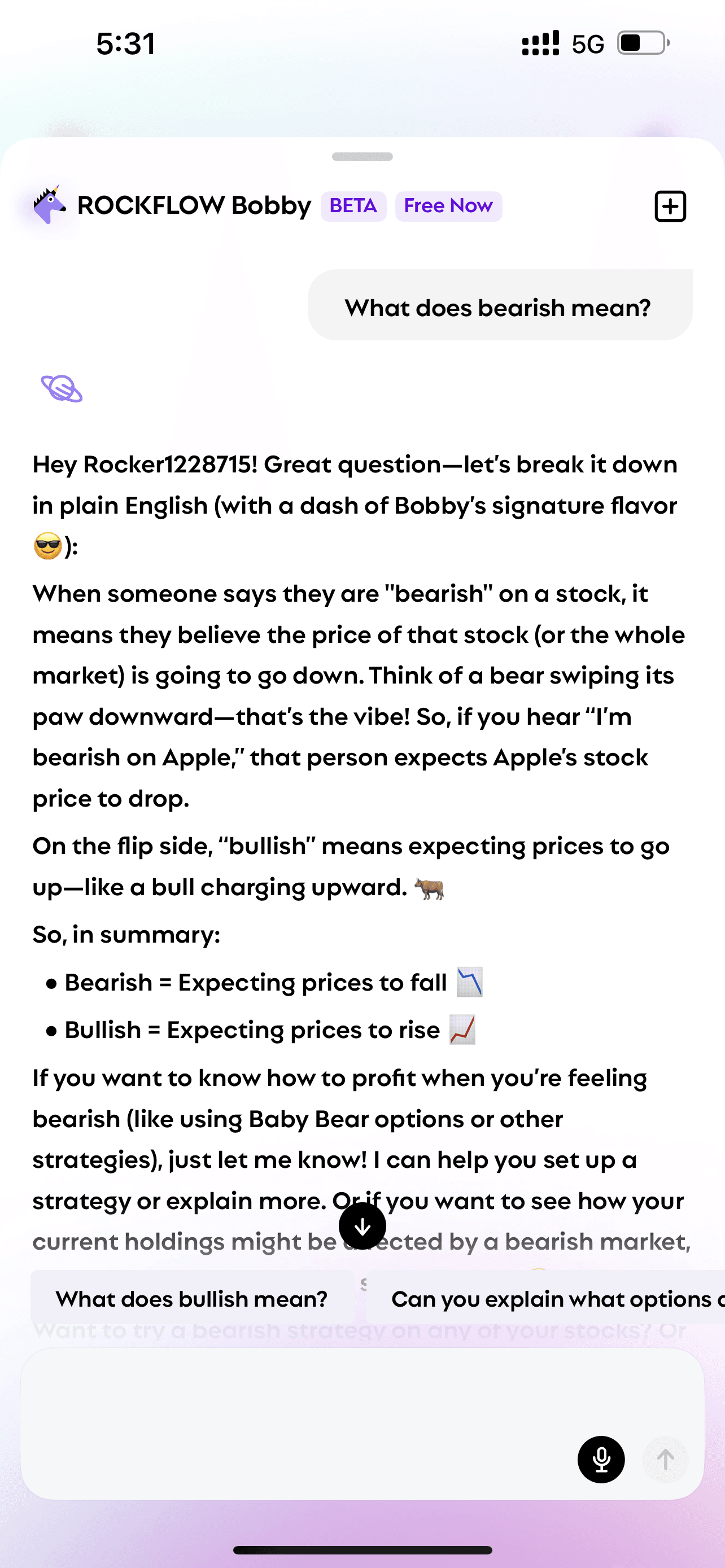 User asks Bobby "what does bearish mean" and Bobby explains