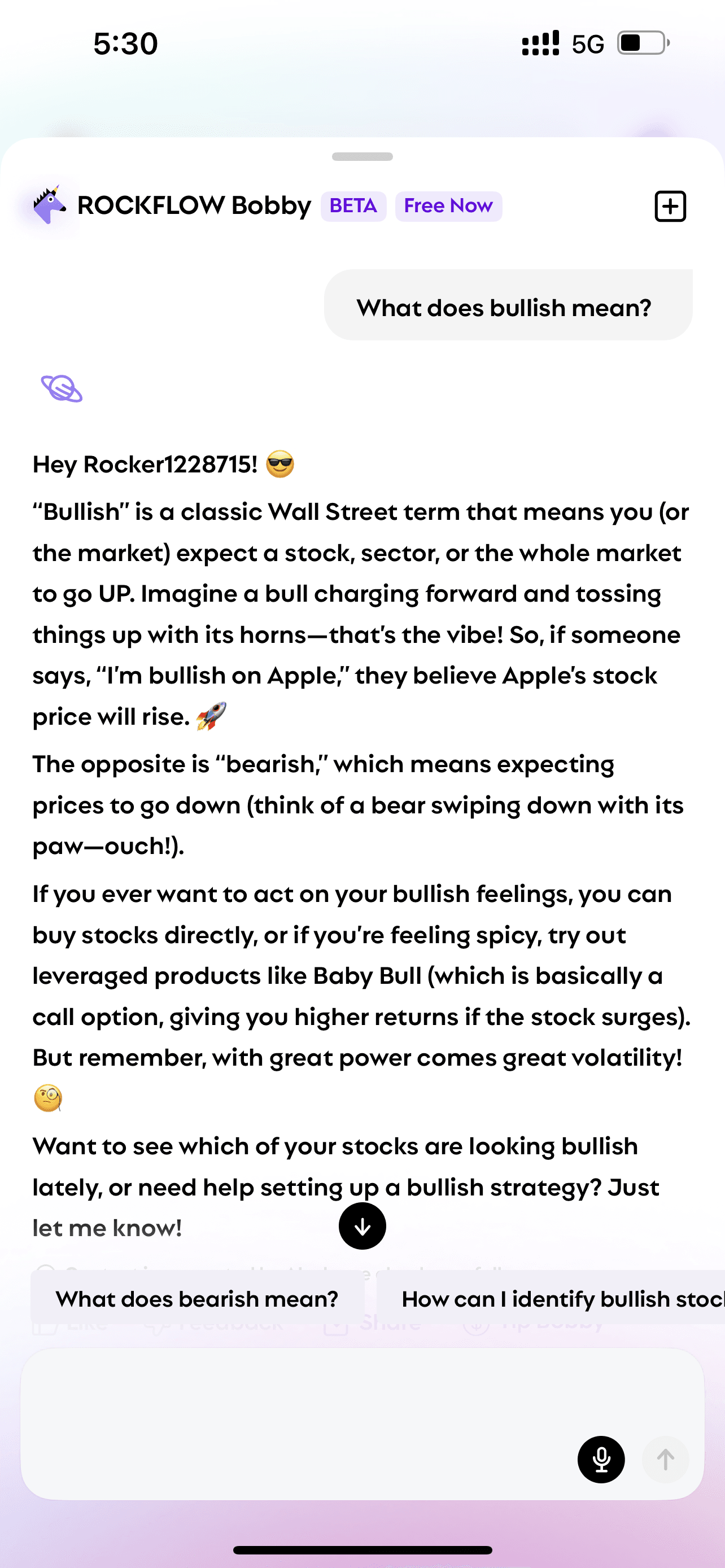 User asks Bobby "what does bullish mean" and Bobby explains