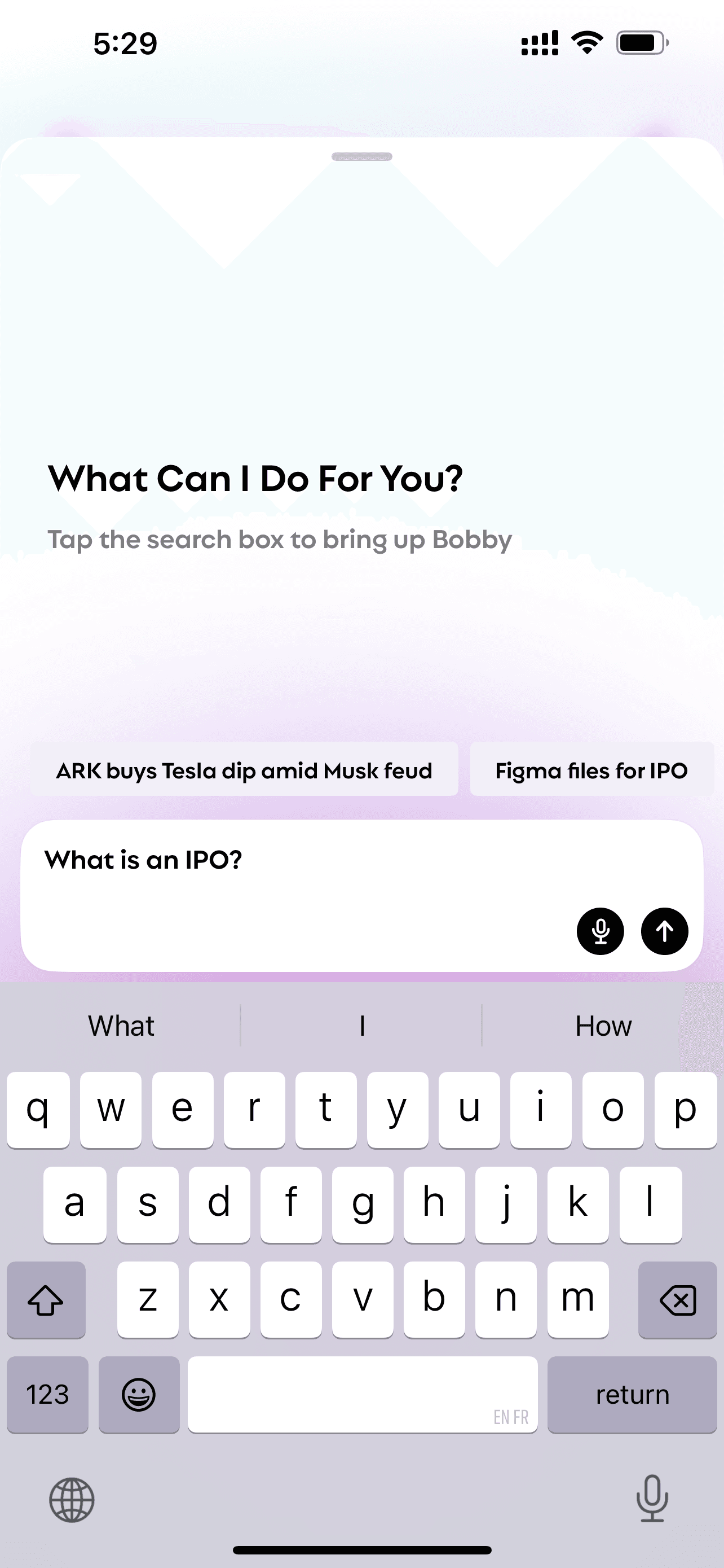 The screen of Bobby when asked "what is an ipo"