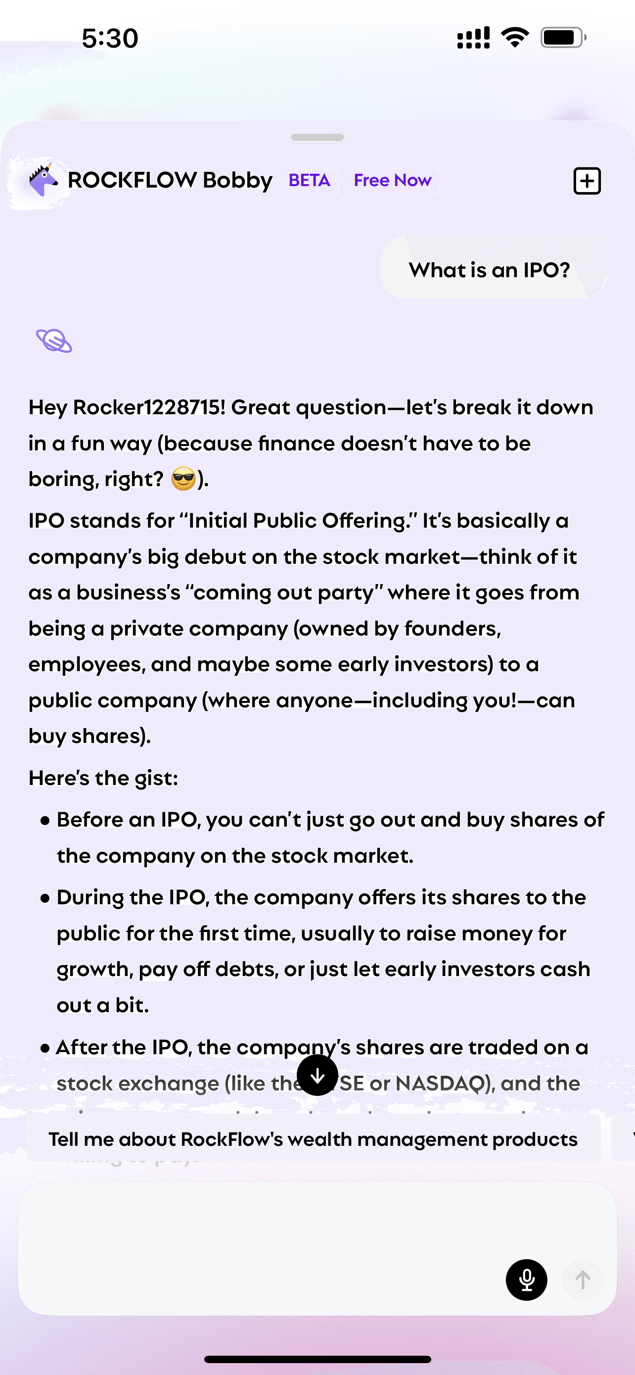 User asks Bobby "what is an ipo" and Bobby explains