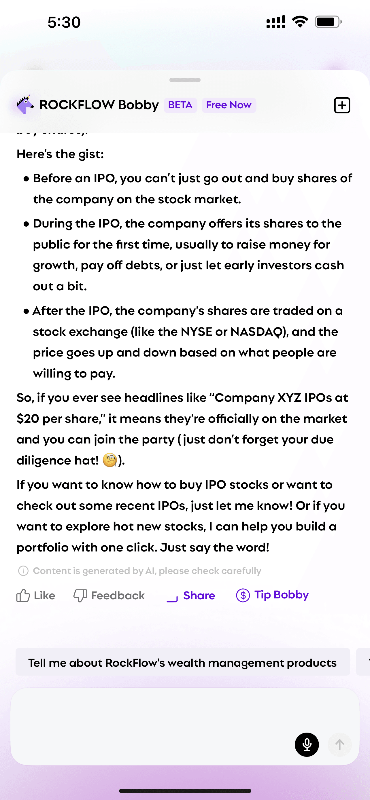 User asks Bobby "what is an ipo" and Bobby explains