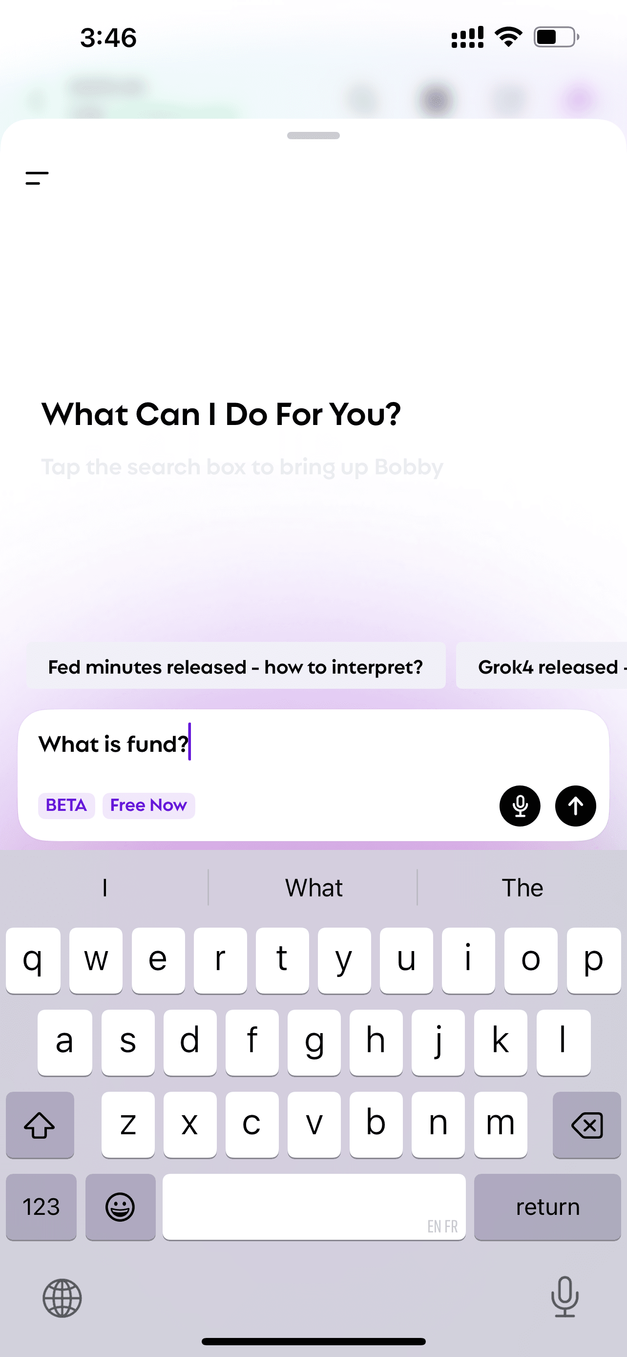 The screen of Bobby when asked "what is fund"