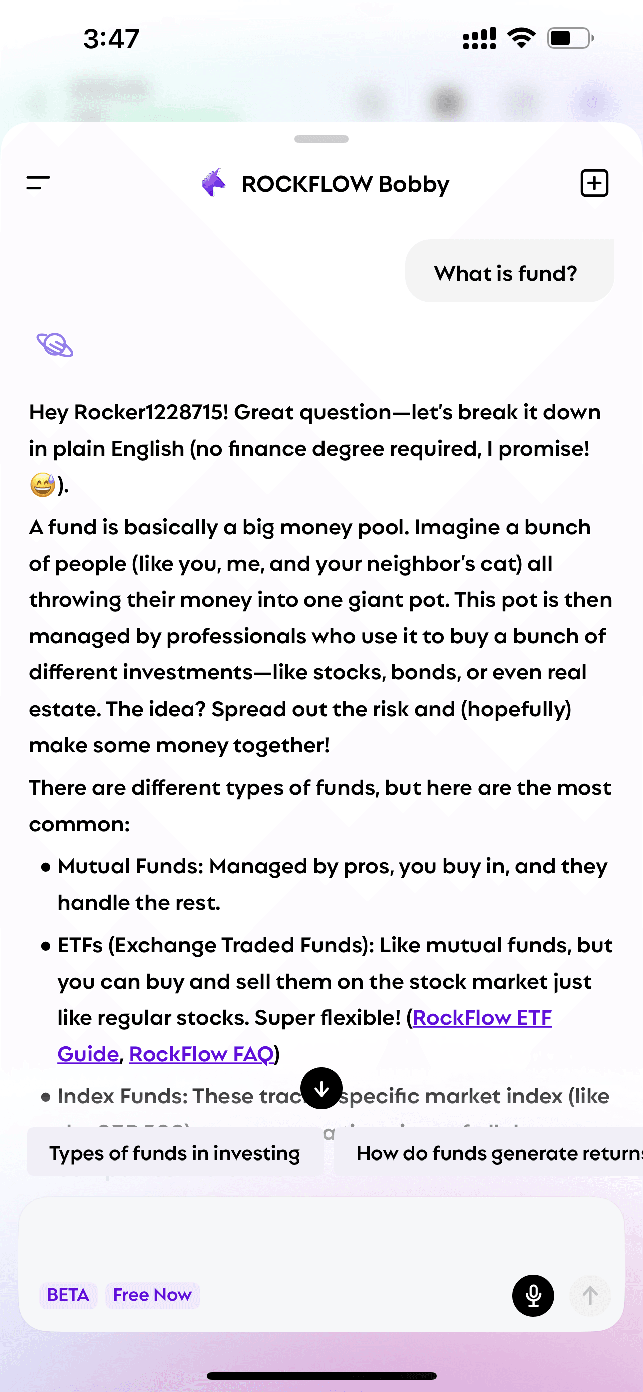User asks Bobby "what is fund" and Bobby explains