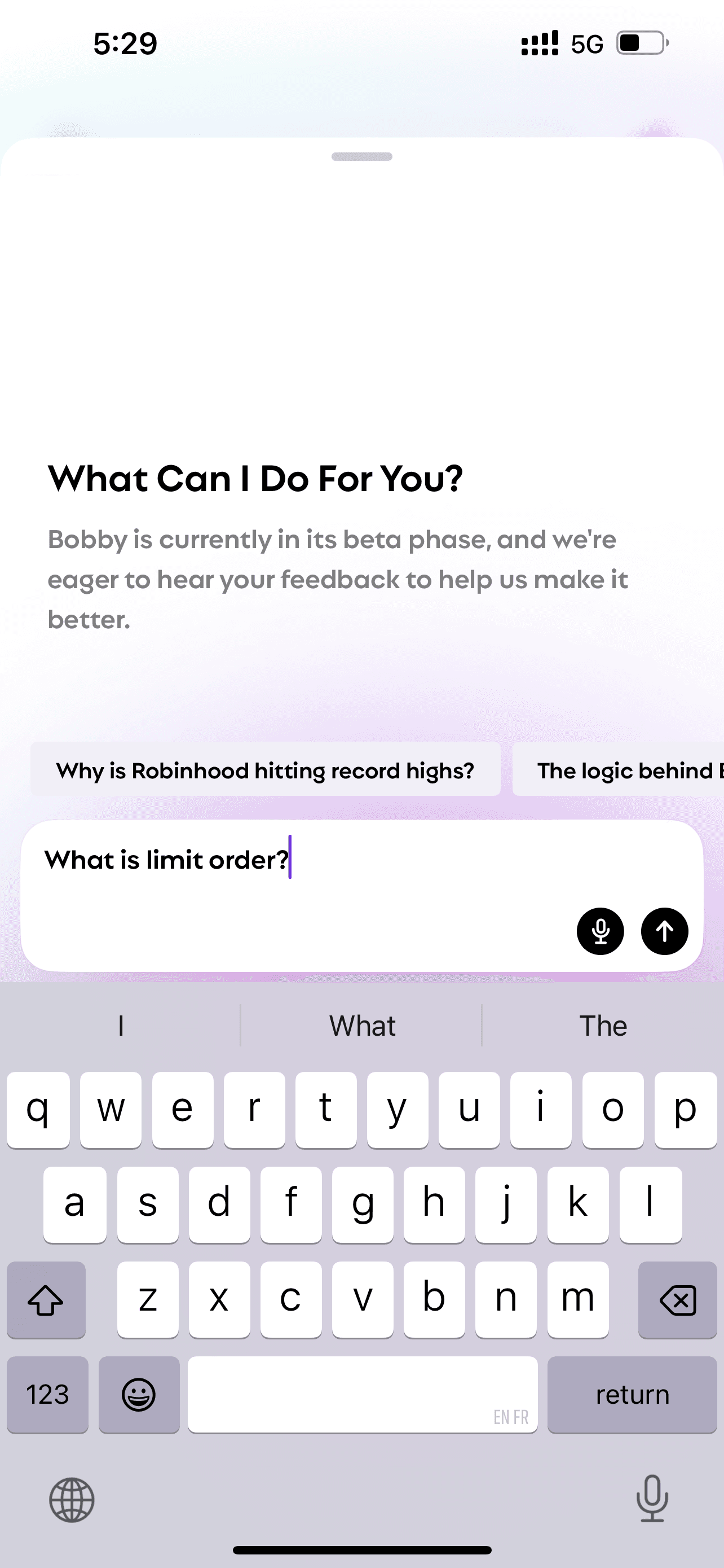 The screen of Bobby when asked "what is limit order"
