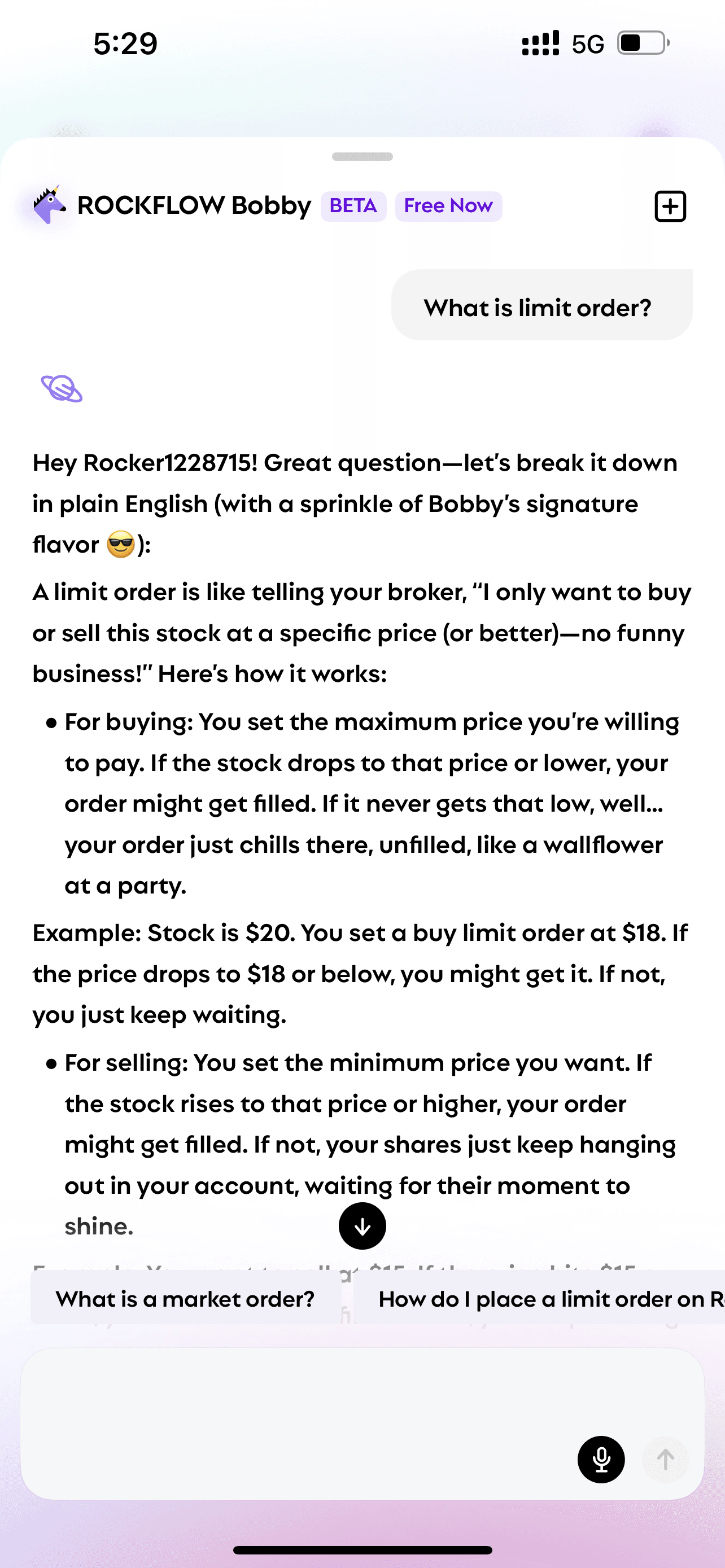 User asks Bobby "what is limit order" and Bobby explains
