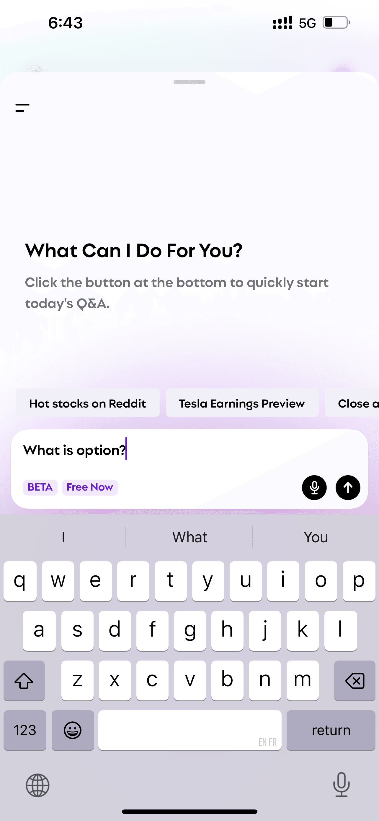 The screen of Bobby when asked "what is option"