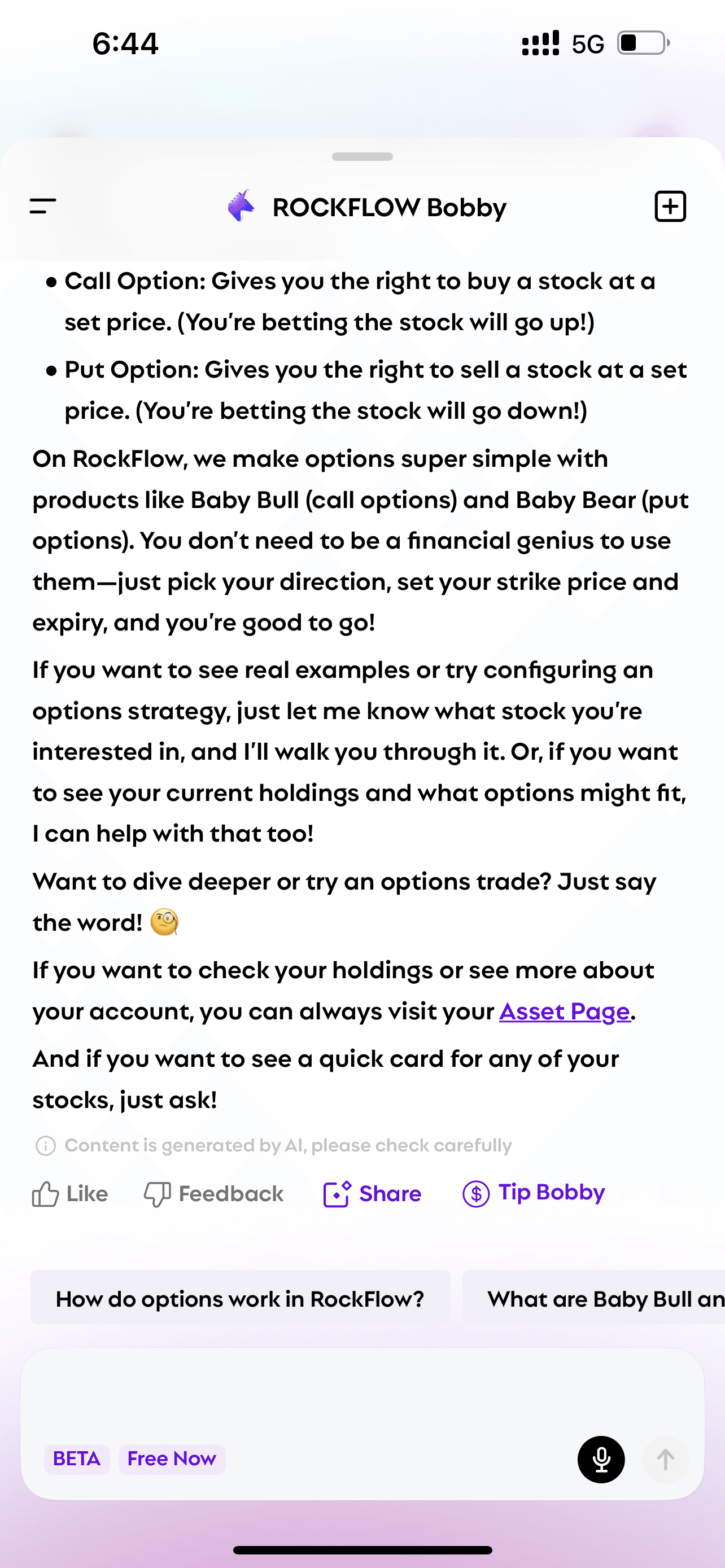 User asks Bobby "what is option" and Bobby explains